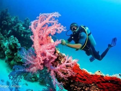 Sporty wodne w Sharm El Sheikh, w tym nurkowanie z rurką, parasailing i narty wodne na Morzu Czerwonym
