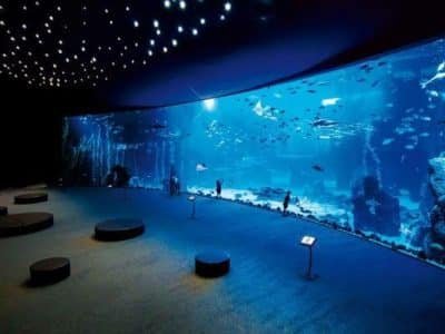 Hurghada Grand Aquarium Marine Life Atrakcja nad Morzem Czerwonym