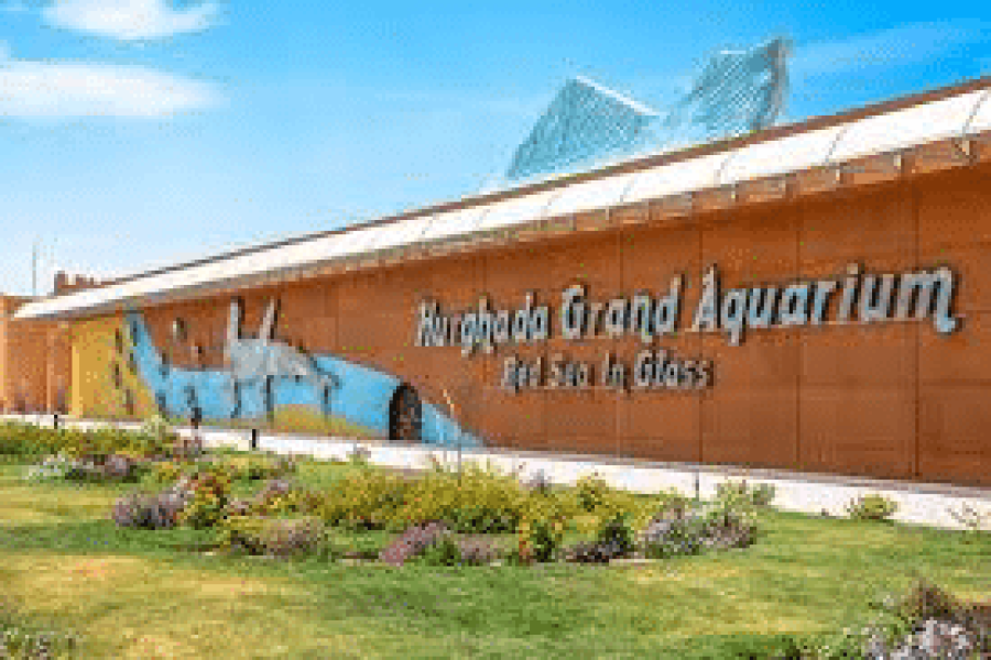 Hurghada Grand Aquarium.