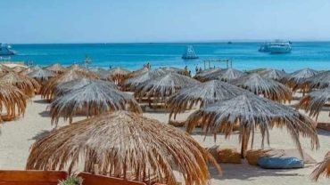 Swim with Sea Turtles at Abu Dabbab: Tips & Best Season