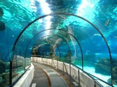 Hurghada Grand Aquarium