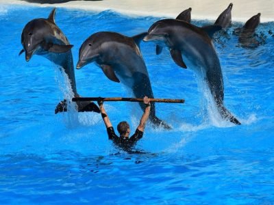 Przygoda ze sportami wodnymi w Sharm El Sheikh