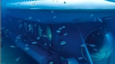Rejsy na oglądanie delfinów i snorkeling w Sharm El Sheikh