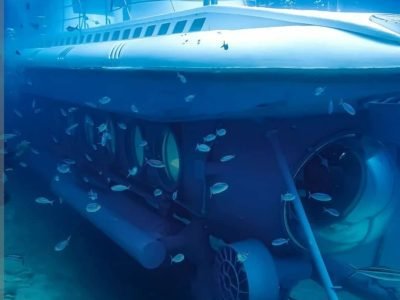 Glass-Bottom Boat