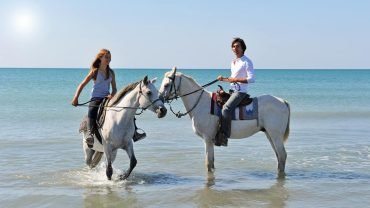 A rider on horseback along the Red Sea beach in Hurghada at sunset