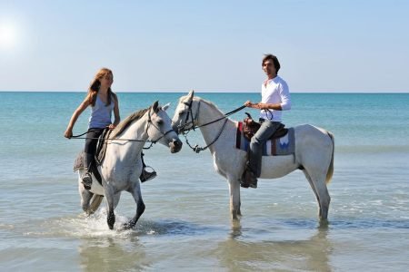  Horse riding during 2-Day Aswan and Abu Simbel Tour