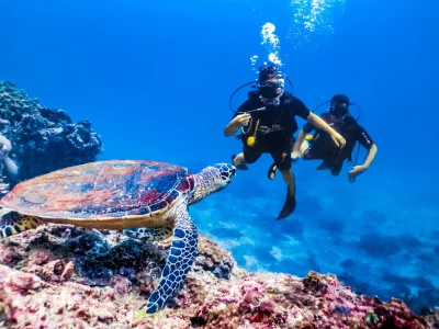 SeaScope Submarine gliding through crystal-clear Red Sea waters near Sharm El Sheikh with colorful fish visible
