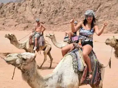 Przejażdżka na wielbłądzie o zachodzie słońca podczas Buggy Bike & Camel Ride with Dinner & Show - Sharm El Sheikh