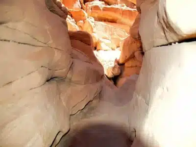 Park Narodowy Nabq w Sharm El Sheikh z widokiem na pustynię, namorzyny i Morze Czerwone