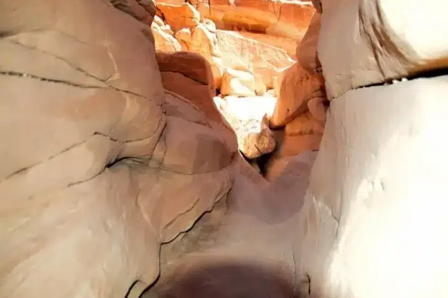 Park Narodowy Nabq w Sharm El Sheikh z widokiem na pustynię, namorzyny i Morze Czerwone