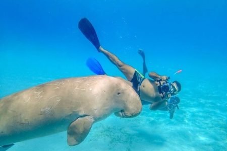 Abu Dabbab Beach one day Trip Marsa Alam