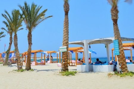 Turyści nurkujący w pobliżu żółwi morskich na plaży Abu Dabbab podczas jednodniowej wycieczki Marsa Alam