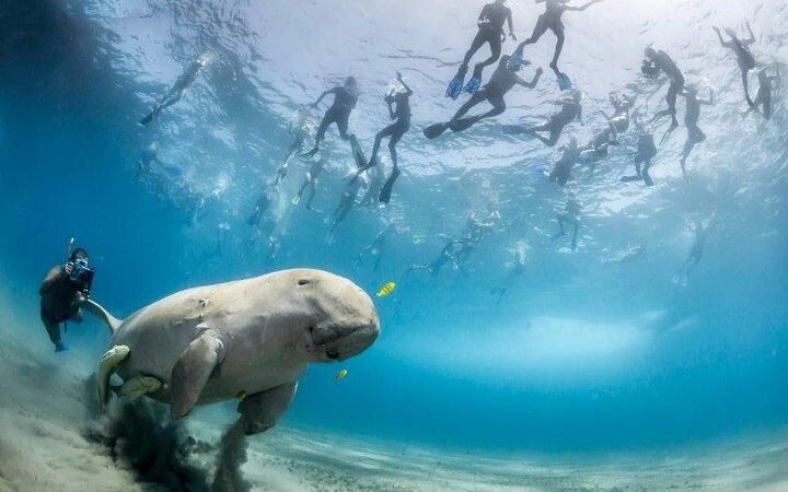 Marsa alam