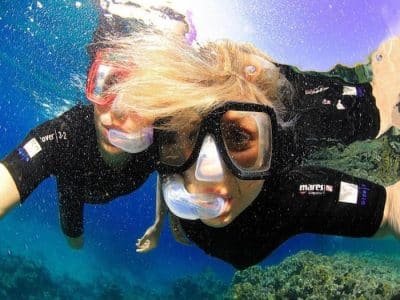 Dolphin House Snorkeling Wycieczka łodzią z delfinami po Morzu Czerwonym