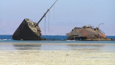Nabq National Park Sharm El Sheikh coastal mangroves and wildlife under clear blue sky