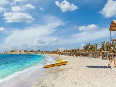  Abu Dabbab Beach Marsa Alam with tourists snorkeling alongside sea turtles in turquoise waters