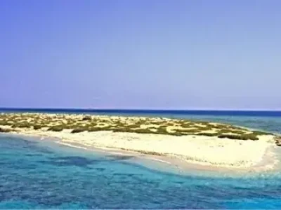  Abu Dabbab Beach Marsa Alam with snorkelers swimming alongside sea turtles in clear turquoise water