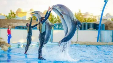 Wycieczka do parku delfinów w Sharm El Sheikh z rodziną oglądającą skoki delfinów