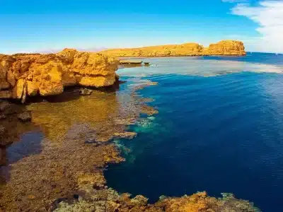 Ras Mohamed National Park guide showing coral reefs, turquoise waters, and desert mountains under sunny skies