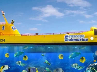 SeaScope Submarine Tour Sharm El Sheikh exploring colorful coral reefs and tropical fish under the Red Sea