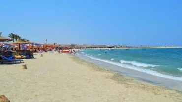Plaża Abu Dabbab w Marsa Alam z żółwiami i krystalicznie czystą wodą