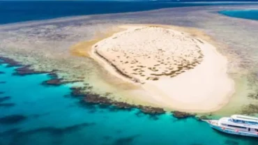 Abu Dabbab Beach Marsa Alam with snorkelers swimming alongside sea turtles in clear turquoise water