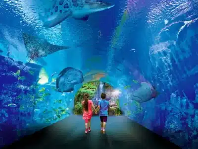 Visitors walking through the underwater tunnel at Hurghada Grand Aquarium surrounded by colorful marine life