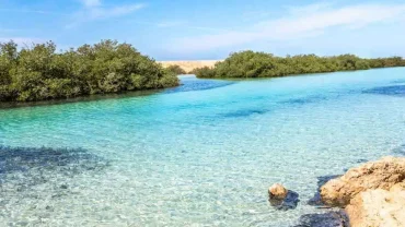 Park Narodowy Nabq w Sharm El Sheikh z namorzynami i pustynnymi wydmami
