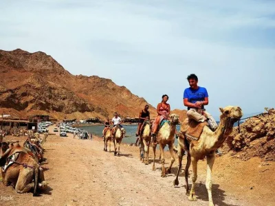 Extreme adventure in Sharm El Sheikh featuring diving, desert biking, and parasailing over the Red Sea