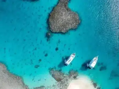  Abu Dabbab Beach Marsa Alam with snorkelers swimming alongside sea turtles in clear turquoise water