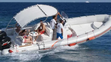 Private speed boat trip to Dolphin Bay & Orange Island with dolphins swimming in the Red Sea