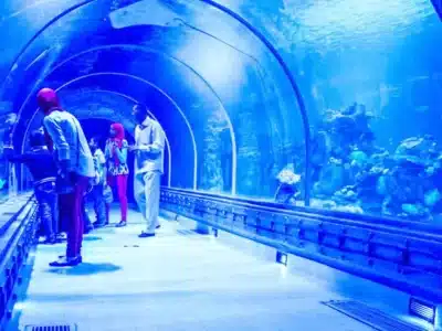 Visitors walking through the underwater tunnel at Hurghada Grand Aquarium surrounded by colorful marine life