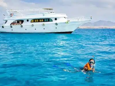 Tiran Island Boat Trip Sharm El Sheikh with tourists snorkeling over coral reefs in turquoise waters