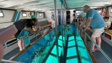 Glass-bottom boat in the Red Sea showing corals and tropical fish