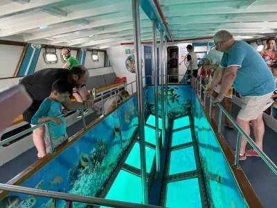 Red Sea Glass-Bottom Boat Tour in Hurghada showing coral reefs and tropical fish beneath the glass