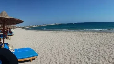 Abu Dabbab Beach Marsa Alam with tourists snorkeling alongside sea turtles in turquoise waters