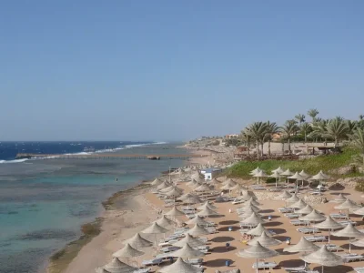 Nabq National Park Sharm El Sheikh coastal mangroves and wildlife under clear blue sky
