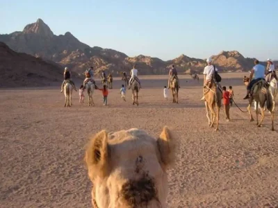 Super Safari Trip Marsa Alam with tourists riding quad bikes across golden desert dunes at sunset