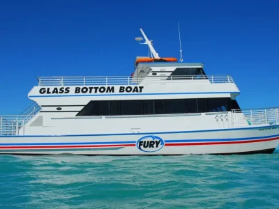 Glass-bottom boat in the Red Sea showing corals and tropical fish