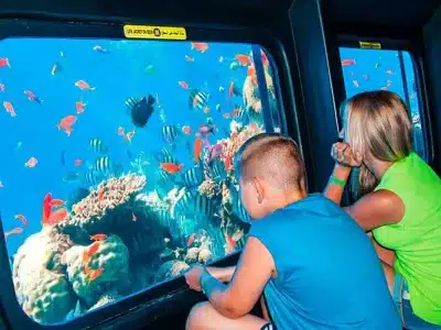 SeaScope Submarine Tour Sharm El Sheikh exploring colorful coral reefs and tropical fish under the Red Sea