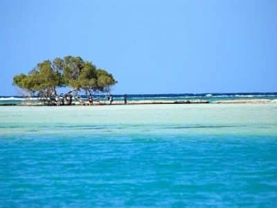 Plaże Sharm El Luli i El Qulaan w Marsa Alam z turkusowymi wodami i nieskazitelnym piaskiem.